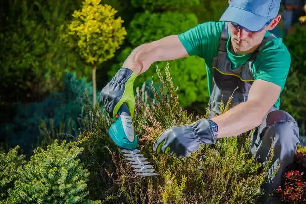 landscaping services Verplanck